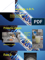 Obtención de ADN. TP Virtual