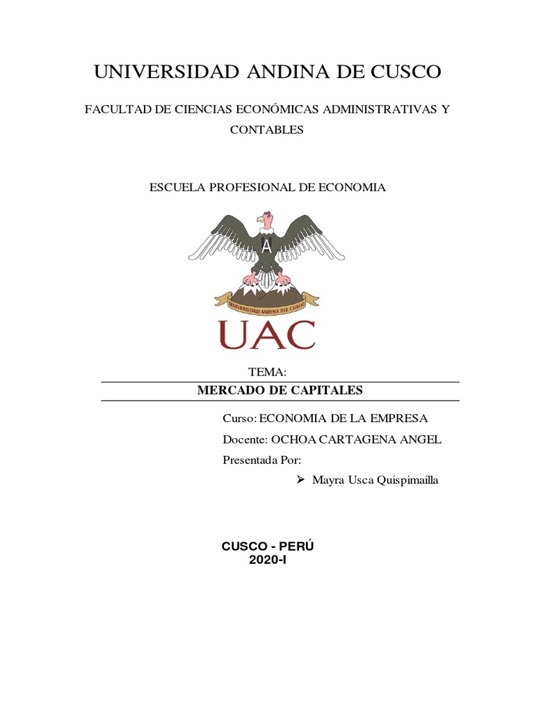 Mercado de Capitales y Mapa Conceptual | PDF | Deuda | Interés
