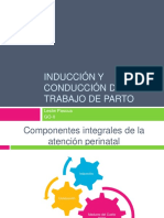 Induccinyconduccindeltrabajodeparto 120409010109 Phpapp01