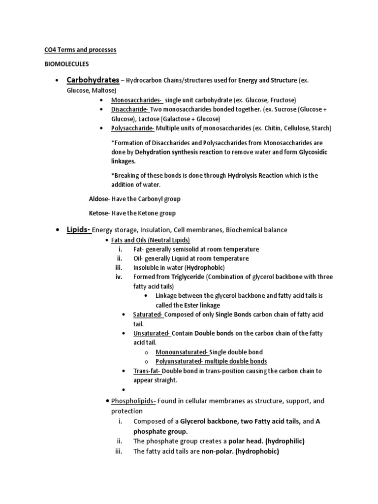 Biomolecules Terms and Processes PDF Biomolecular Structure
