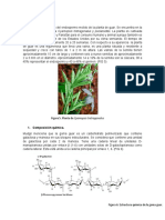 Goma Guar Desarrollo