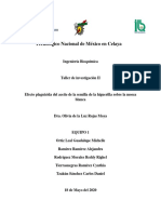 Protocolo de Investigación-Efecto Plaguicida Del Aceite de La Semilla de La Higuerilla Sobre La Mosca Blanca PDF