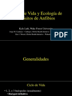Parasitos de Anfibios Puno.pdf