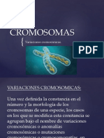CROMOSOMAS-convertido