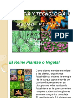 Reino Vegetal