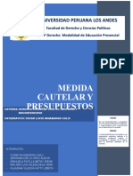 Medidas Cautelares y Presupuestos Grupo 5