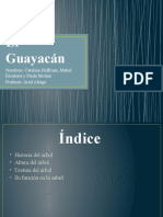 El Guayacan