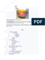 Definicion de Protesis Dental y Tipos