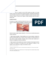 Anatomia.pdf