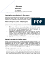 Life Cycle of Spirogyra PDF