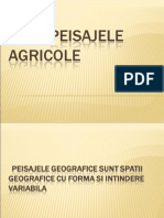 432755239-peisajele-agricole-ppt.ppt