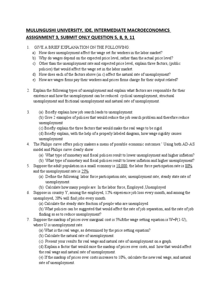Macroeconomics Assignment Guide | PDF | Unemployment | Social Science