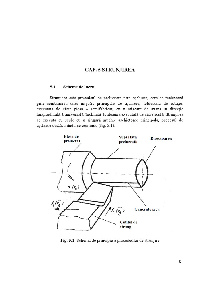 Cap 5 - STRUNJIREA PDF | PDF