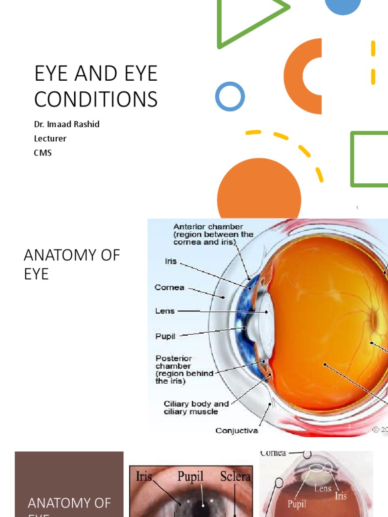 Eye PDF | PDF | Eye | Vision