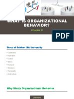 Chapter 01 - Organizational Behavior
