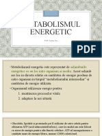 Metabolismul Energetic