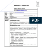 Programa Procesos IV 2017