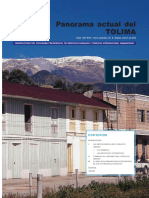 Panorama actual del Tolima.pdf