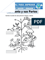 Ficha de La Planta y Sus Partes para Primaria
