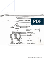 diagrams class 10