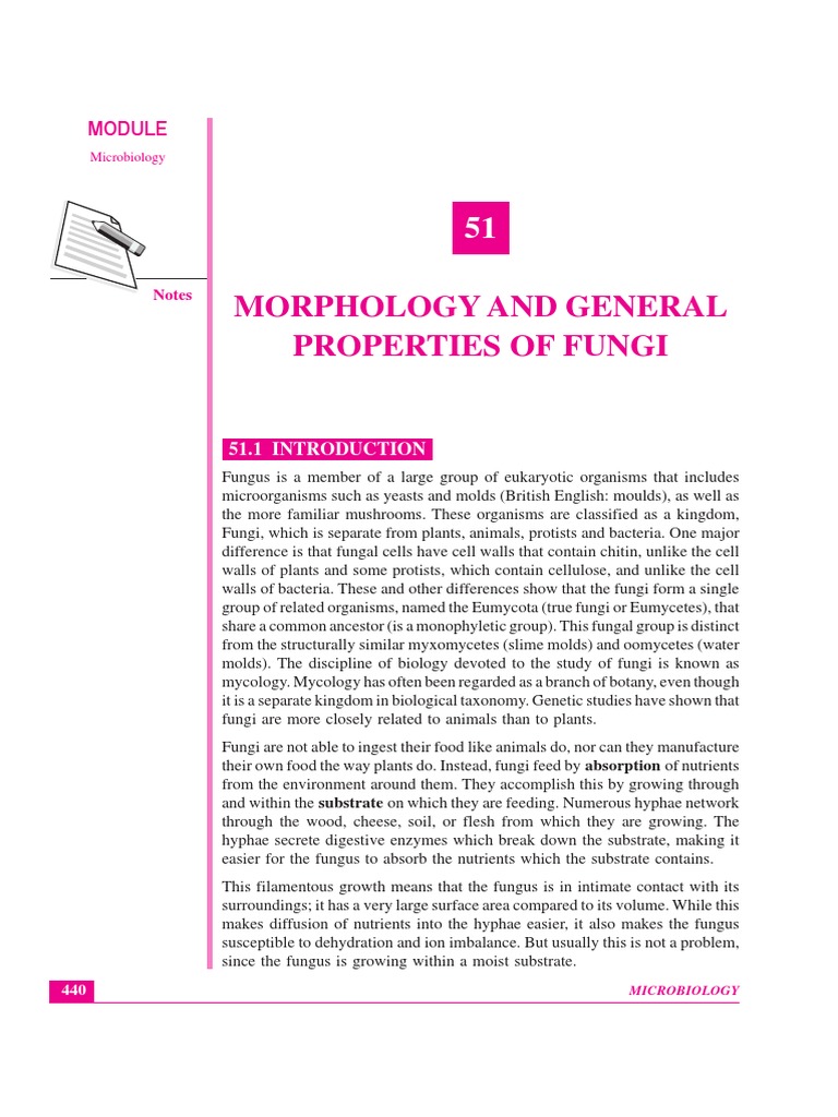 Fungi: Morphology and Properties Overview | PDF | Fungus | Mold