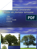 Plante Lemnoase, Caractere Vizuale