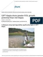 GIFT Tilapia Show Greater FCR, Growth Potential Than Red Tilapia