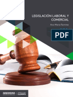 Referente - Pensamiento - Eje3 (Legislación Laboral y Comercial) PDF