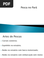 Artes de pesca Pará