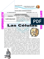 Ficha-Las-Celulas-para-Quinto-de-Primaria
