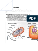 Tipos de célula.docx