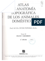 Atlas Anatomia Topografica de Los Animales Domésticos Tomo Iii