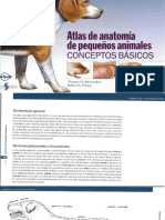 Atlas de Anatomía de Pequeños Animales CONCEPTOS BÁSICOS DEL CANINO Y FELINO (Thomas O. McCracken Robert A. Kainer)