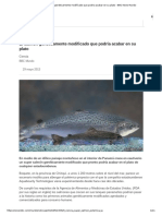 Nuevoss PDF