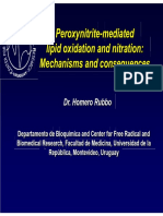 Peroxynitrite-Mediated Lipid Oxidation and Nitration: Mechanisms and Consequences