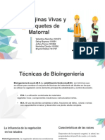 Fajinas Vivas y Paquete de Matorrales PDF