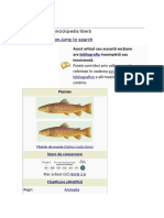 Păstrăv: Jump To Navigation Jump To Search