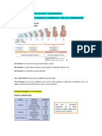 CLASE 1 DIETOTERAPIA MATERNO INFANTIL Y ADOLESCENTE I