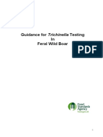 Guidance For Trichinella Testing in Feral Wild Boar