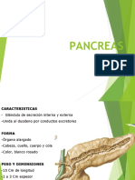 Pancreas UPAL 2017 17 Octubre y Bazo