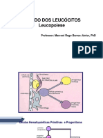 AULA 11 - Leucócitos e Leucopoiese PDF