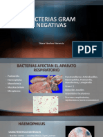 Bacterias Gram Negativas PDF