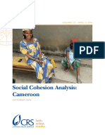 Social Cohesion Analysis Cameroon