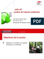 VIII - EIA - Sesión 10 PDF