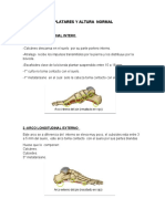 Arco Platares y Altura Normal