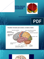 01 Neurobiologia Da Linguagem - FACISA - PRIMEIRA AULA