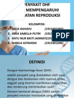 PENYAKIT DHF-dikonversi