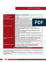 Instructivo Proyecto.pdf
