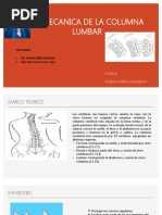Anatomía y Función de la Columna Lumbar | PDF | La columna vertebral ...