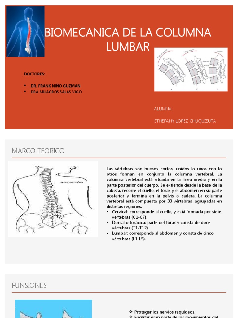 Biomecánica de la Columna Lumbar | PDF | La columna vertebral | Vértebra